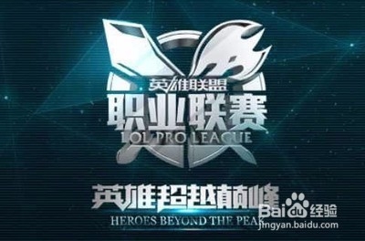 作为国际羽